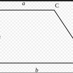 Draw a quadrilateral that is not a rectangle