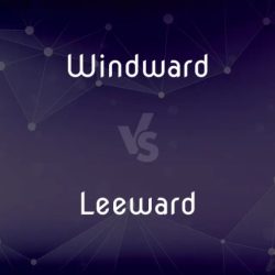 Windward and leeward little mermaid