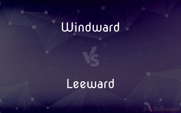 Windward and leeward little mermaid