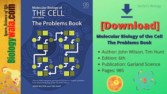 Chemistry: a molecular approach 6th edition