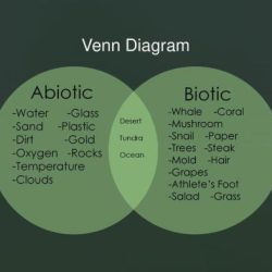 Is grapes biotic or abiotic