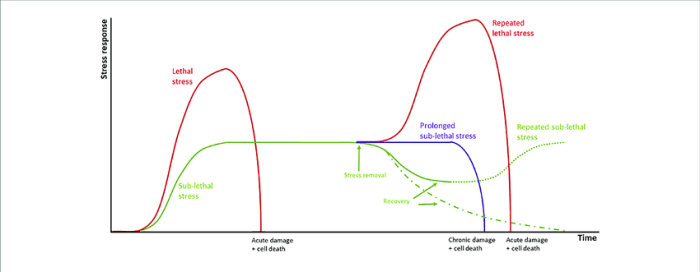 Is grapes biotic or abiotic