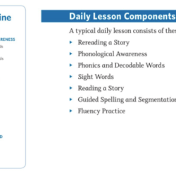 Letrs phonics and word-reading survey