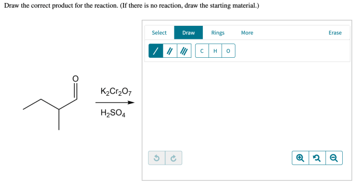 Draw the correct product for the reaction