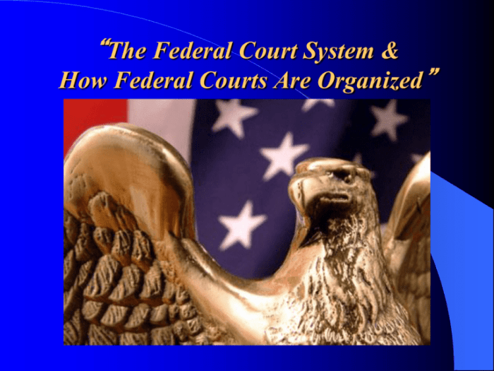 The federal court myth overlooks the fact that