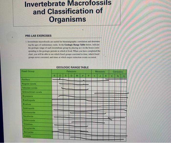 Invertebrate macrofossils and classification of organisms