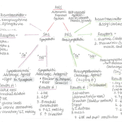 Pn learning system pharmacology practice quiz