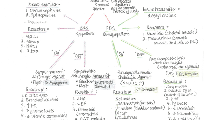 Pn learning system pharmacology practice quiz