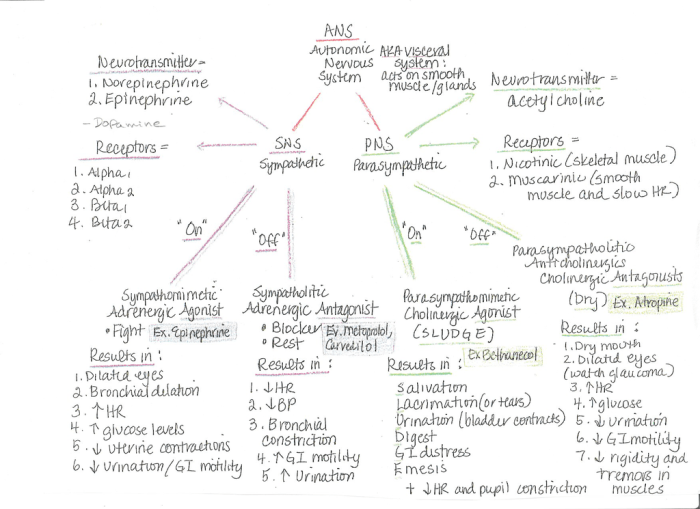 Pn learning system pharmacology practice quiz